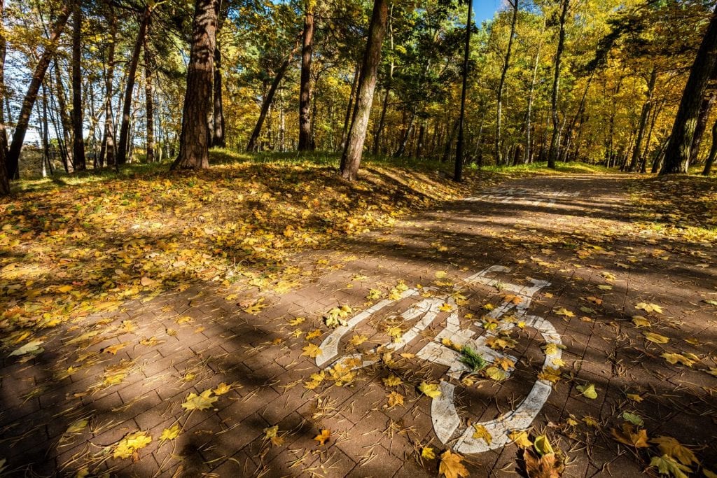 Bike road sign in a park on autumn