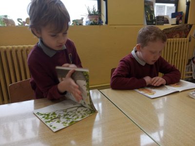 Senior-Infants-wbd-2021 (5)