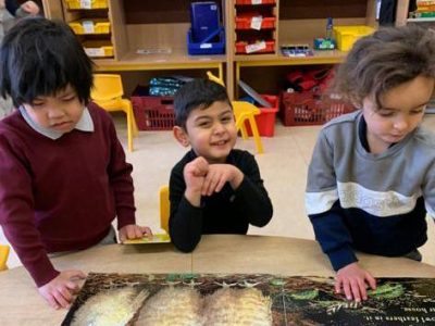rang-a-seacht-wbd-2021 (4)